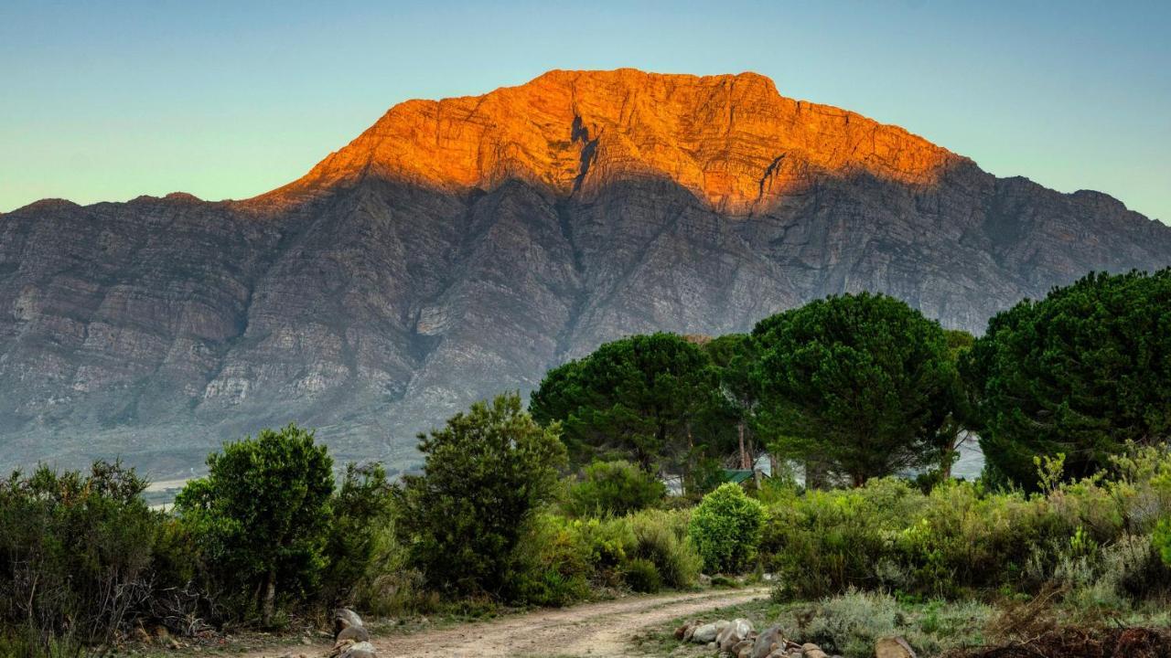 Welbedacht Game & Nature Reserve Tulbagh Exteriör bild