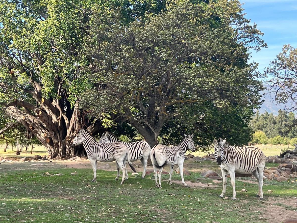 Welbedacht Game & Nature Reserve Tulbagh Exteriör bild
