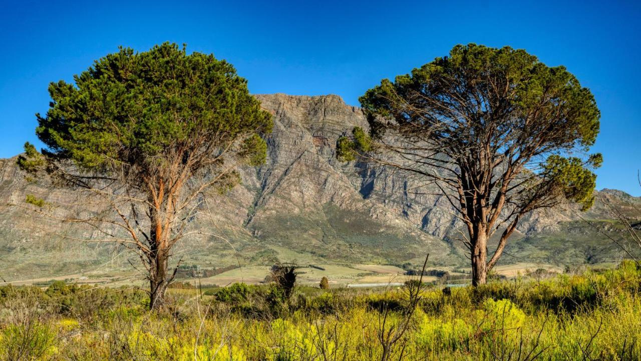 Welbedacht Game & Nature Reserve Tulbagh Exteriör bild
